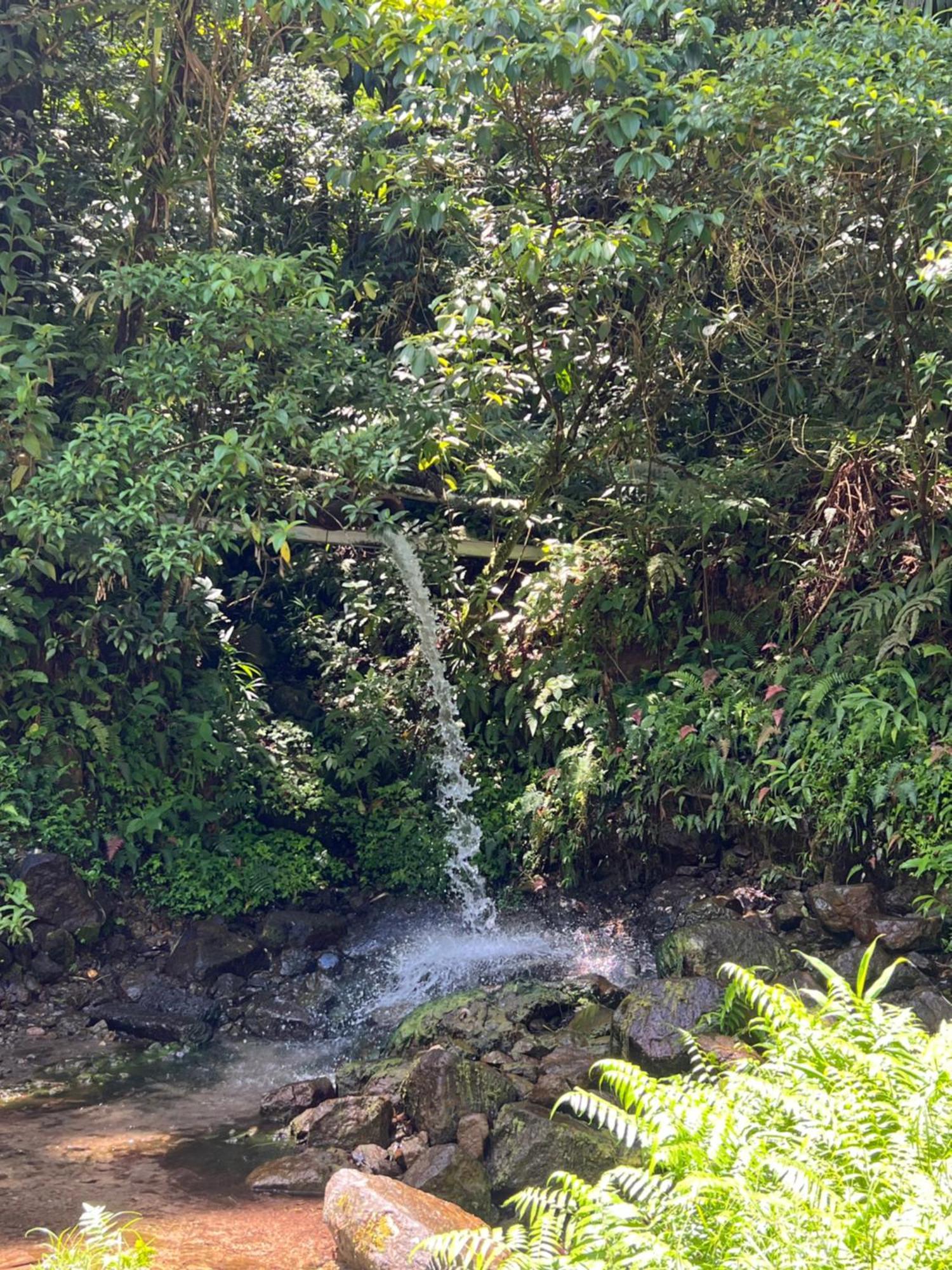 Le Ketmie Nature Et Decouverte Fond-Saint-Denis ภายนอก รูปภาพ