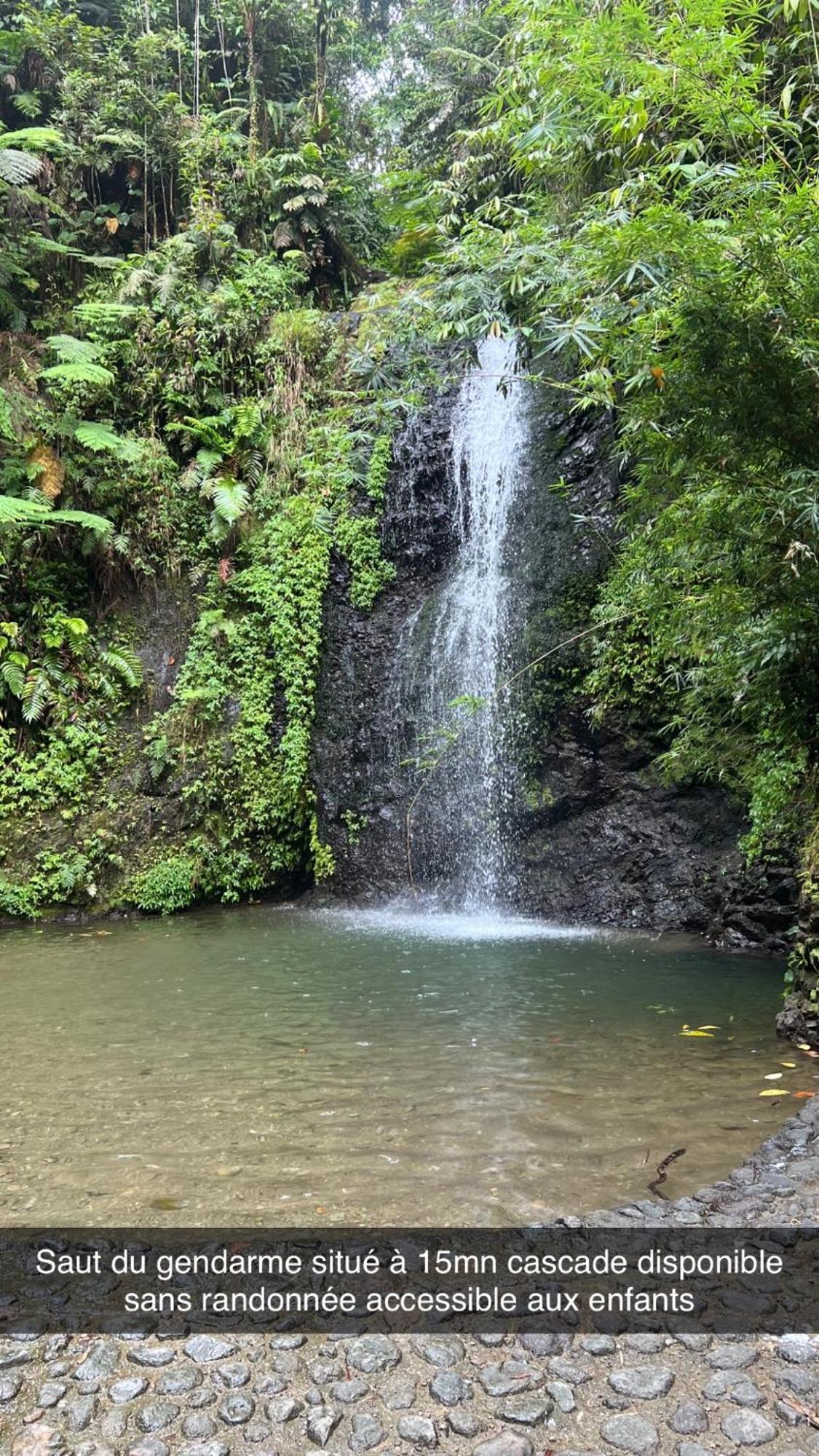 Le Ketmie Nature Et Decouverte Fond-Saint-Denis ภายนอก รูปภาพ