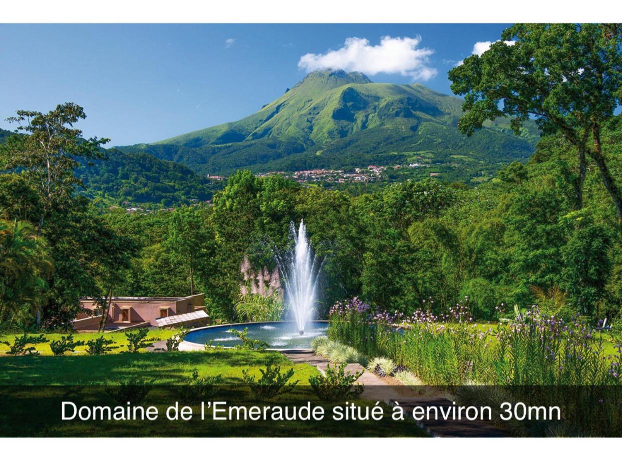 Le Ketmie Nature Et Decouverte Fond-Saint-Denis ภายนอก รูปภาพ